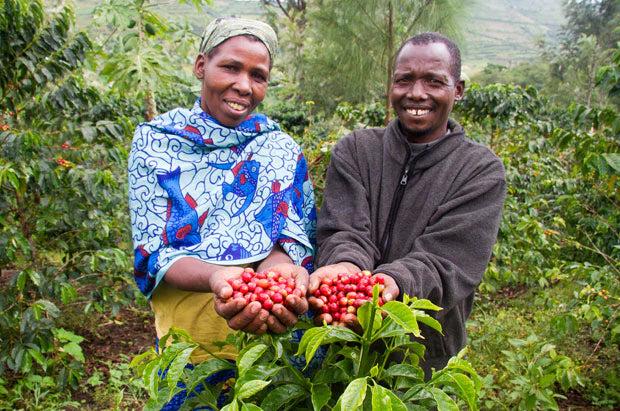 Your Guide to Speciality Coffee in the UK: How to Choose Beans You'll Love