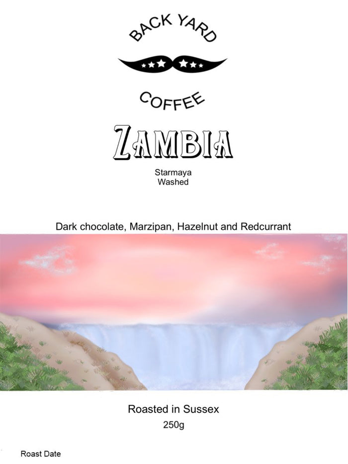 ZAMBIA - Washed Starmaya 🇿🇲