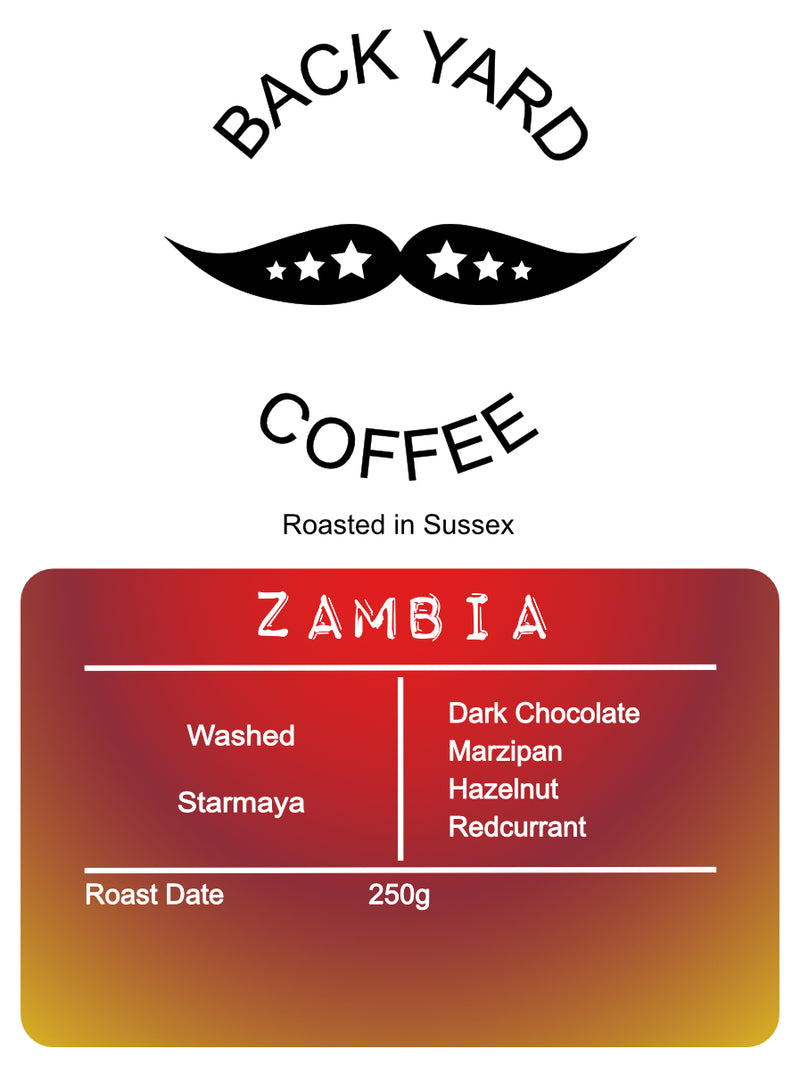 ZAMBIA - Washed Starmaya 🇿🇲