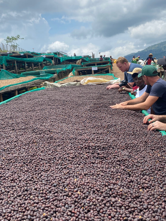 Roasters Choice Subscription